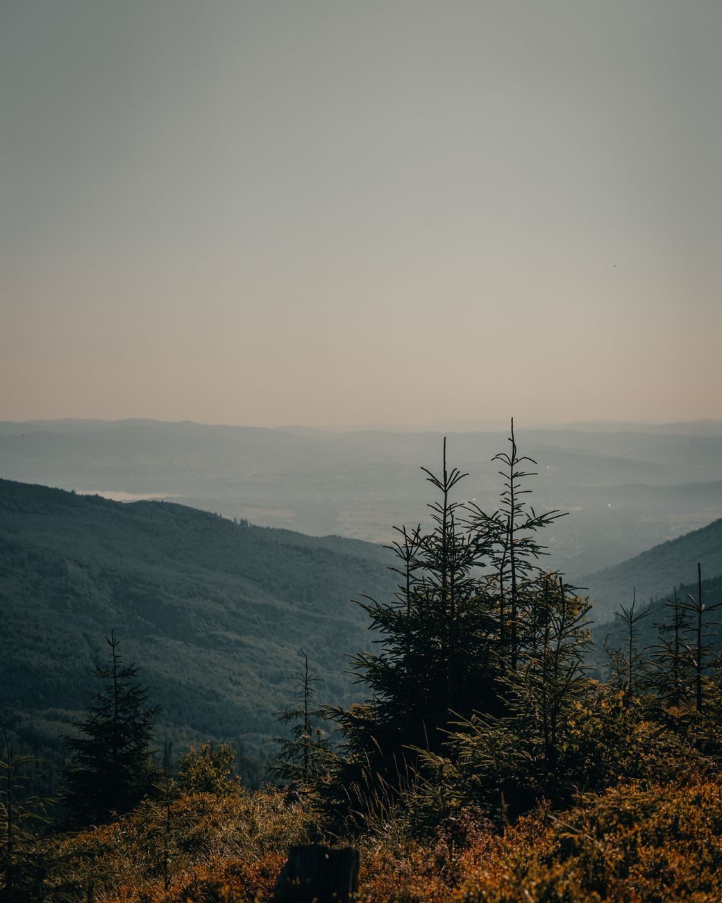 Krajobraz regionu Beskidy