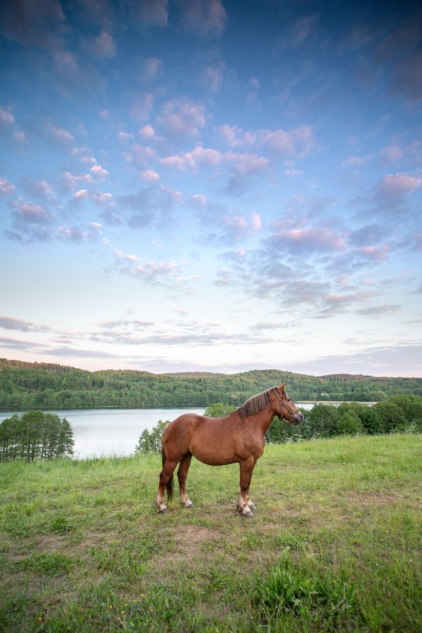 Krajobraz regionu Kaszuby