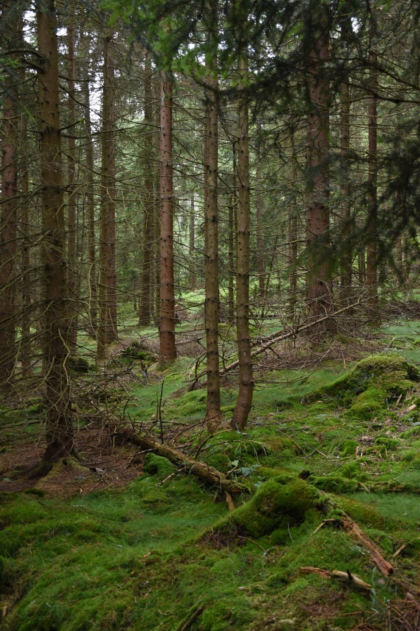 Krajobraz regionu Kotlina Kłodzka