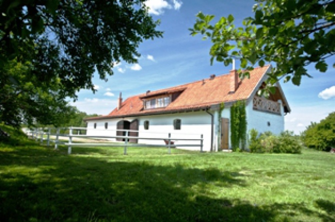 STAJNIA TAGOMAGO LIFE -Ośrodek Sportowo-Wypoczynko