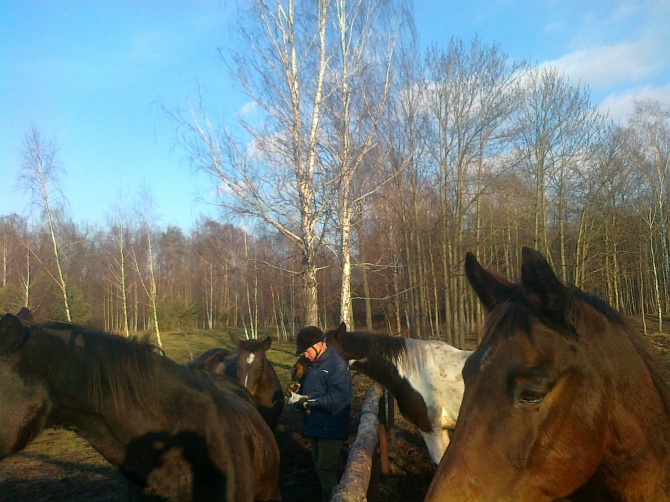 Zizi Zielony Zakątek
