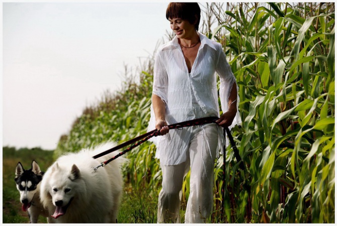 HOTEL dla zwierzat PSANATORIUM.pl